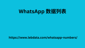 WhatsApp 数据列表