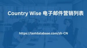 Country Wise 电子邮件营销列表