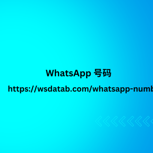 WhatsApp 号码