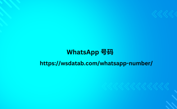 WhatsApp 号码