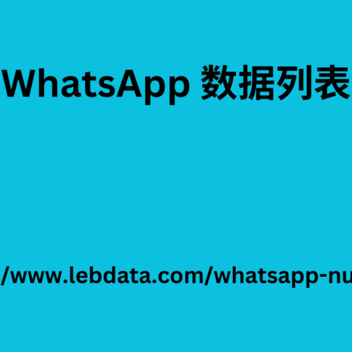 WhatsApp 数据列表