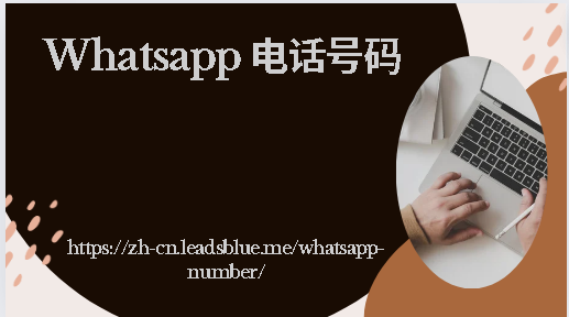 WhatsApp 号码