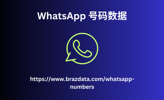 WhatsApp 号码数据 (1)