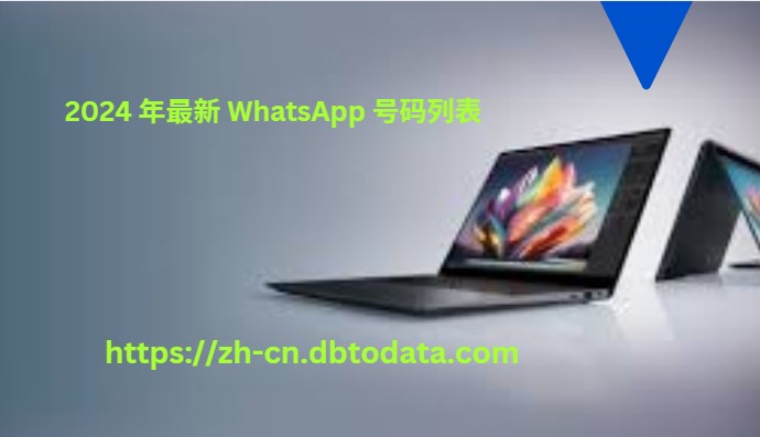 2024 年最新 WhatsApp 号码列表