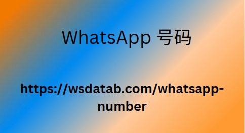 WhatsApp 号码