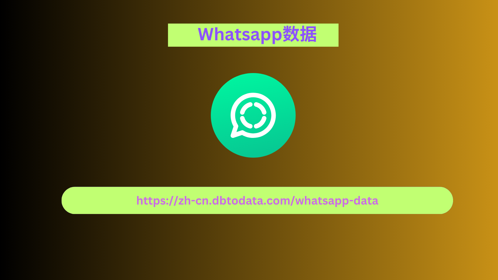 WhatsApp 号码数据