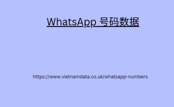 WhatsApp 号码数据