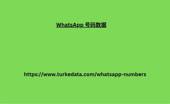 WhatsApp 号码数据