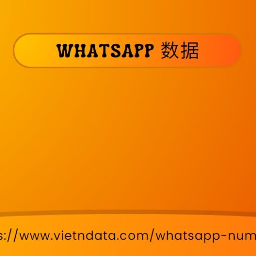 WhatsApp 数据