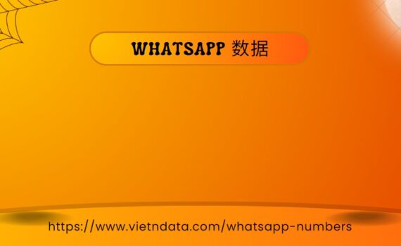 WhatsApp 数据